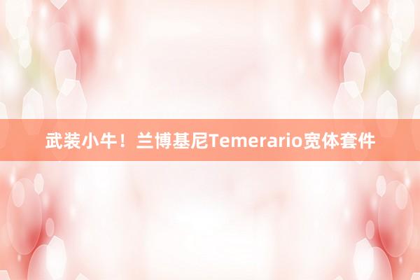 武装小牛！兰博基尼Temerario宽体套件